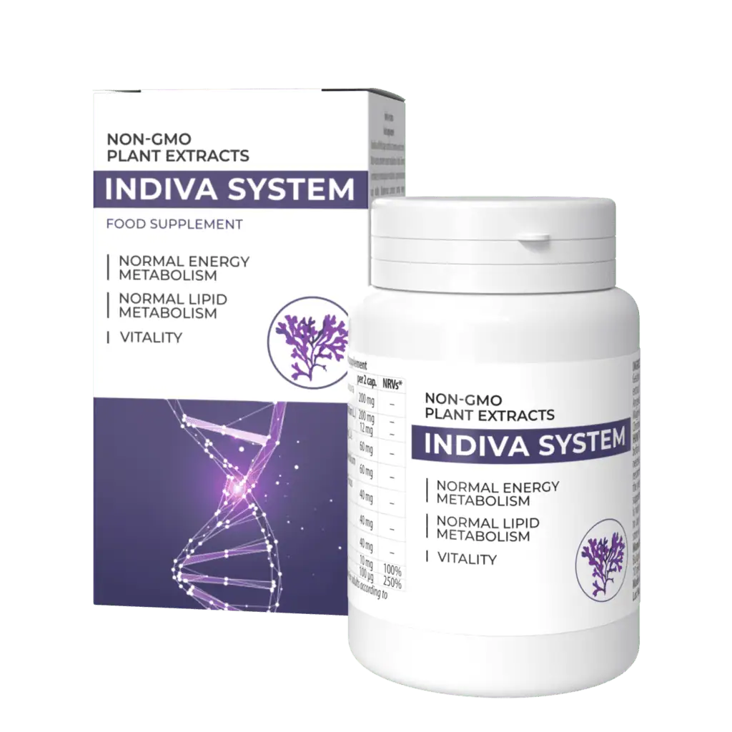InDiva System